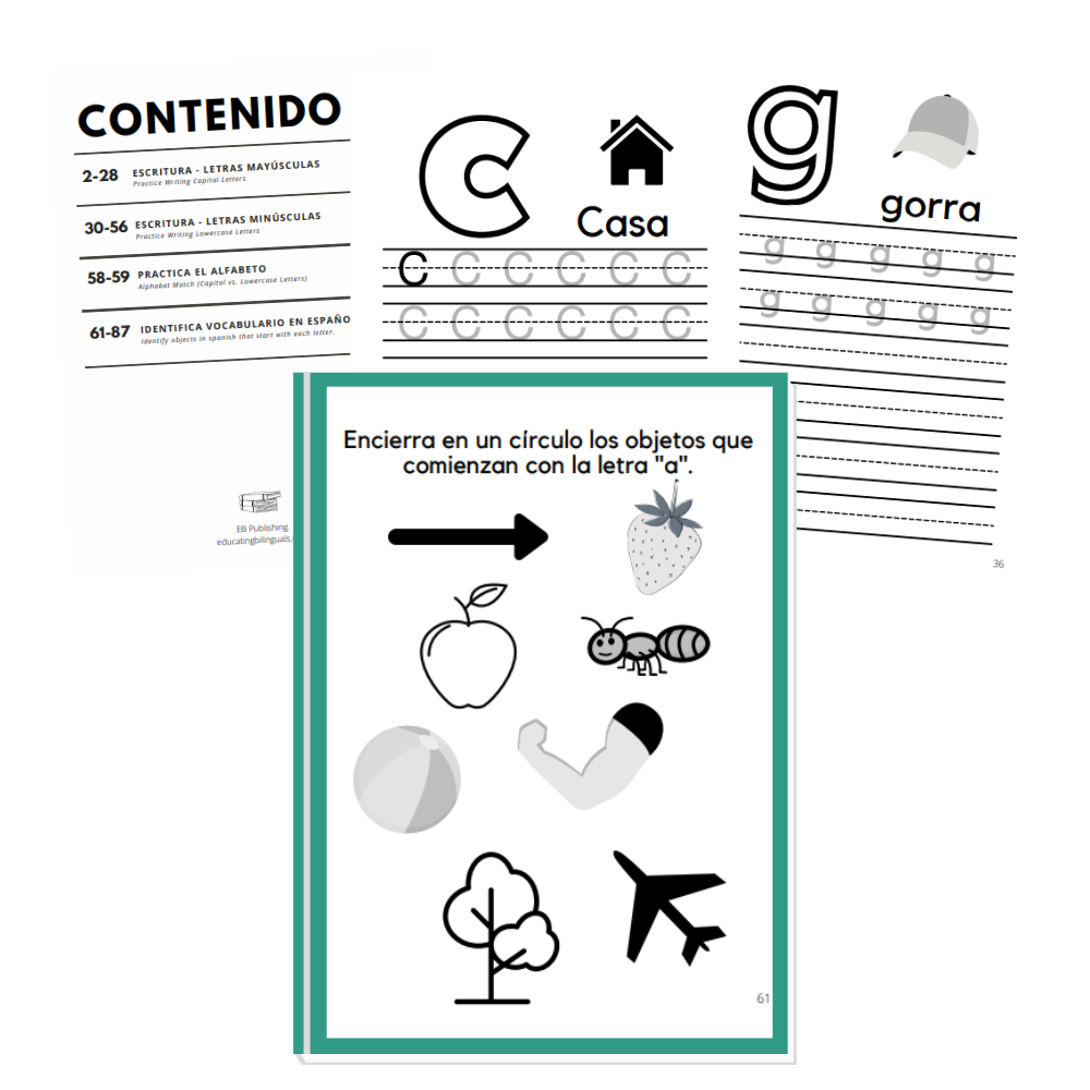 Spanish Alphabet Learning Book Activity (PDF)